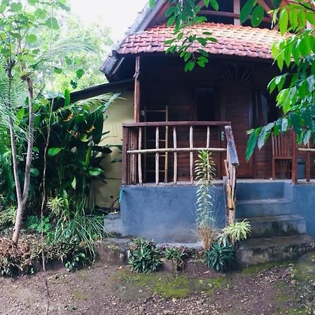 Ped Echo Alam Nusa Lodge מראה חיצוני תמונה