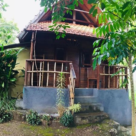 Ped Echo Alam Nusa Lodge מראה חיצוני תמונה