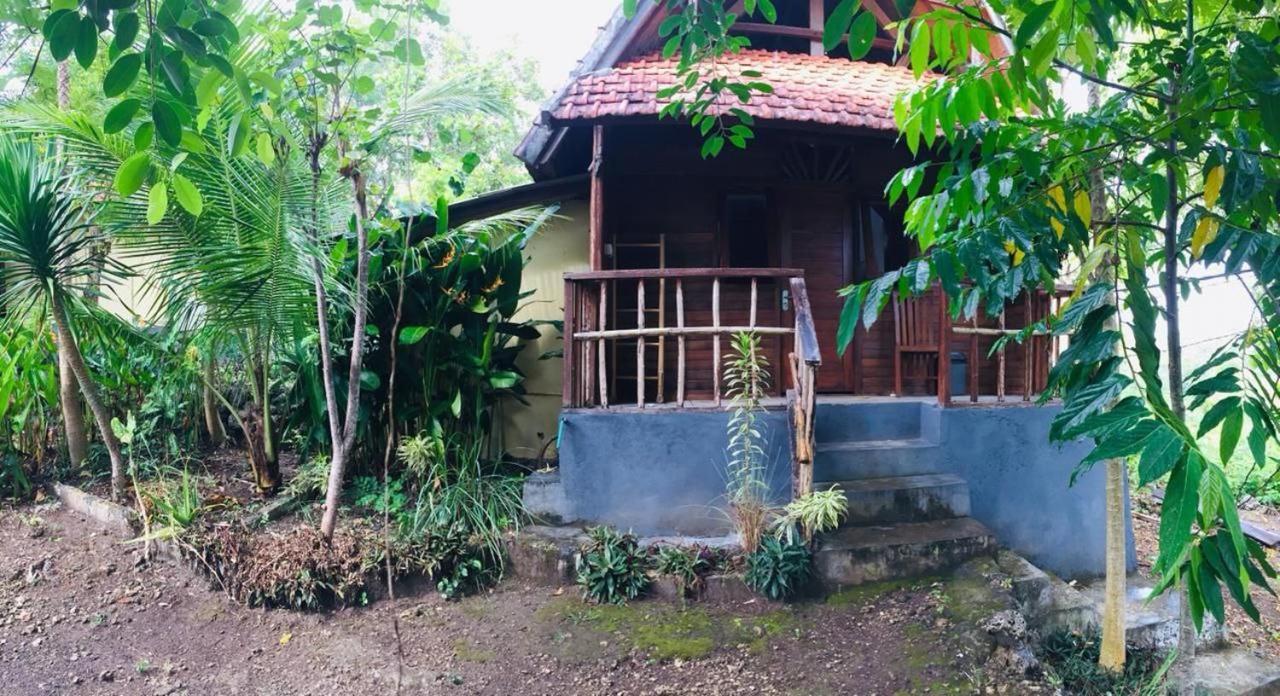 Ped Echo Alam Nusa Lodge מראה חיצוני תמונה