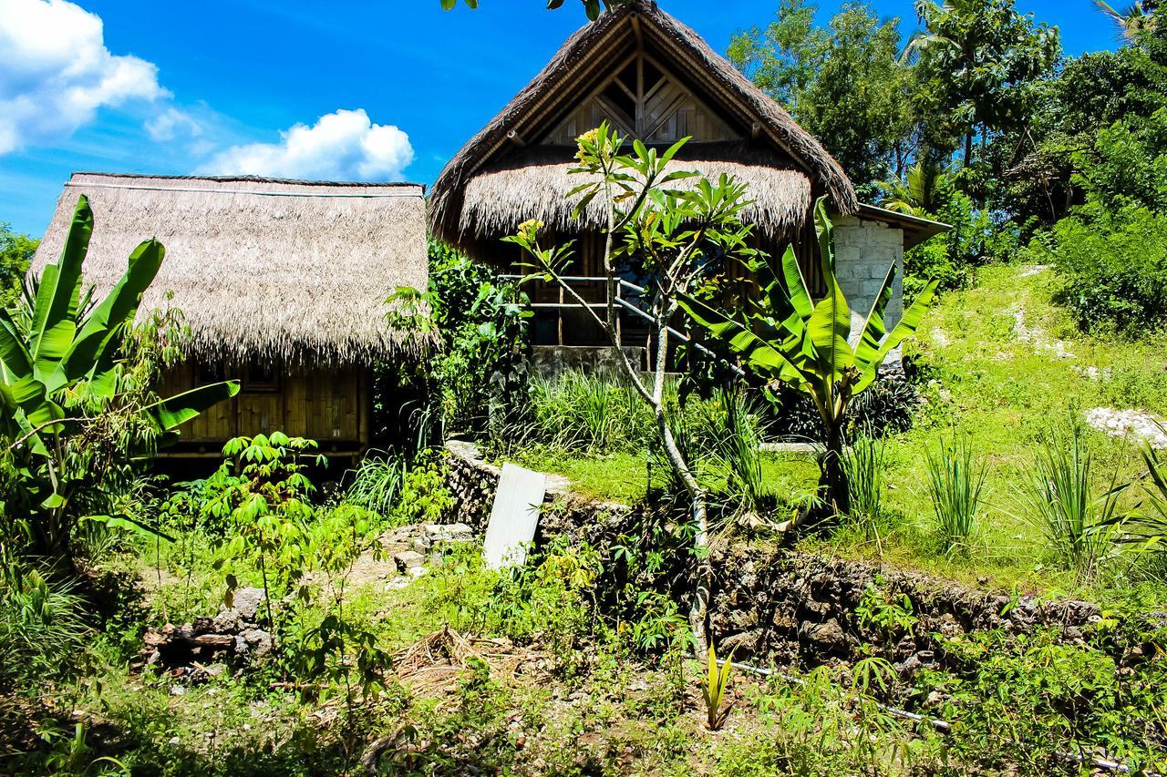 Ped Echo Alam Nusa Lodge מראה חיצוני תמונה