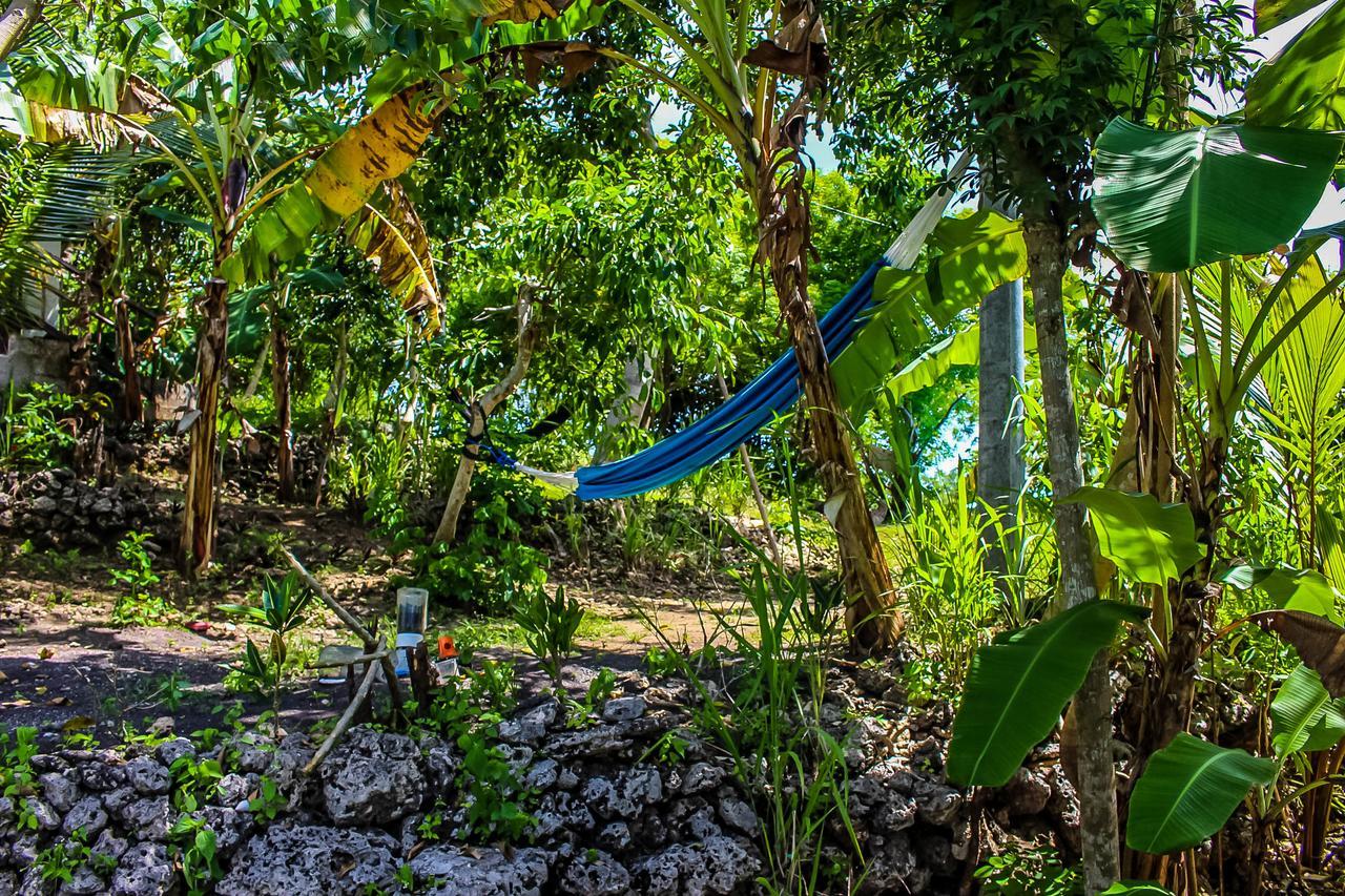 Ped Echo Alam Nusa Lodge מראה חיצוני תמונה