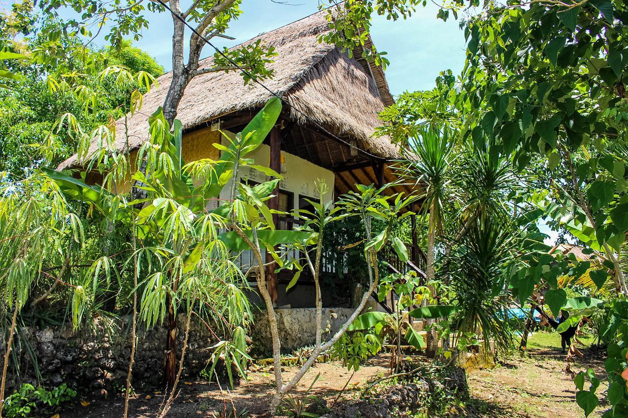 Ped Echo Alam Nusa Lodge מראה חיצוני תמונה